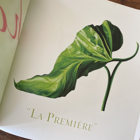 Shoe Fleur a Footwear Fantasy Book by Michel Tcherebkoff - Picture 6 of 16